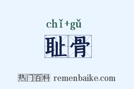 耻骨是什么意思的图片